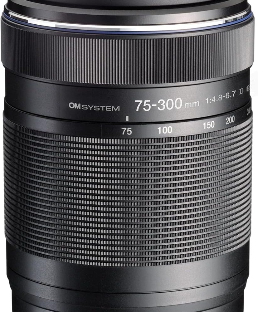 OM SYSTEM M.Zuiko Digital ED 40-150mm f/4-5.6 R Lens for Micro Four Thirds, Silver