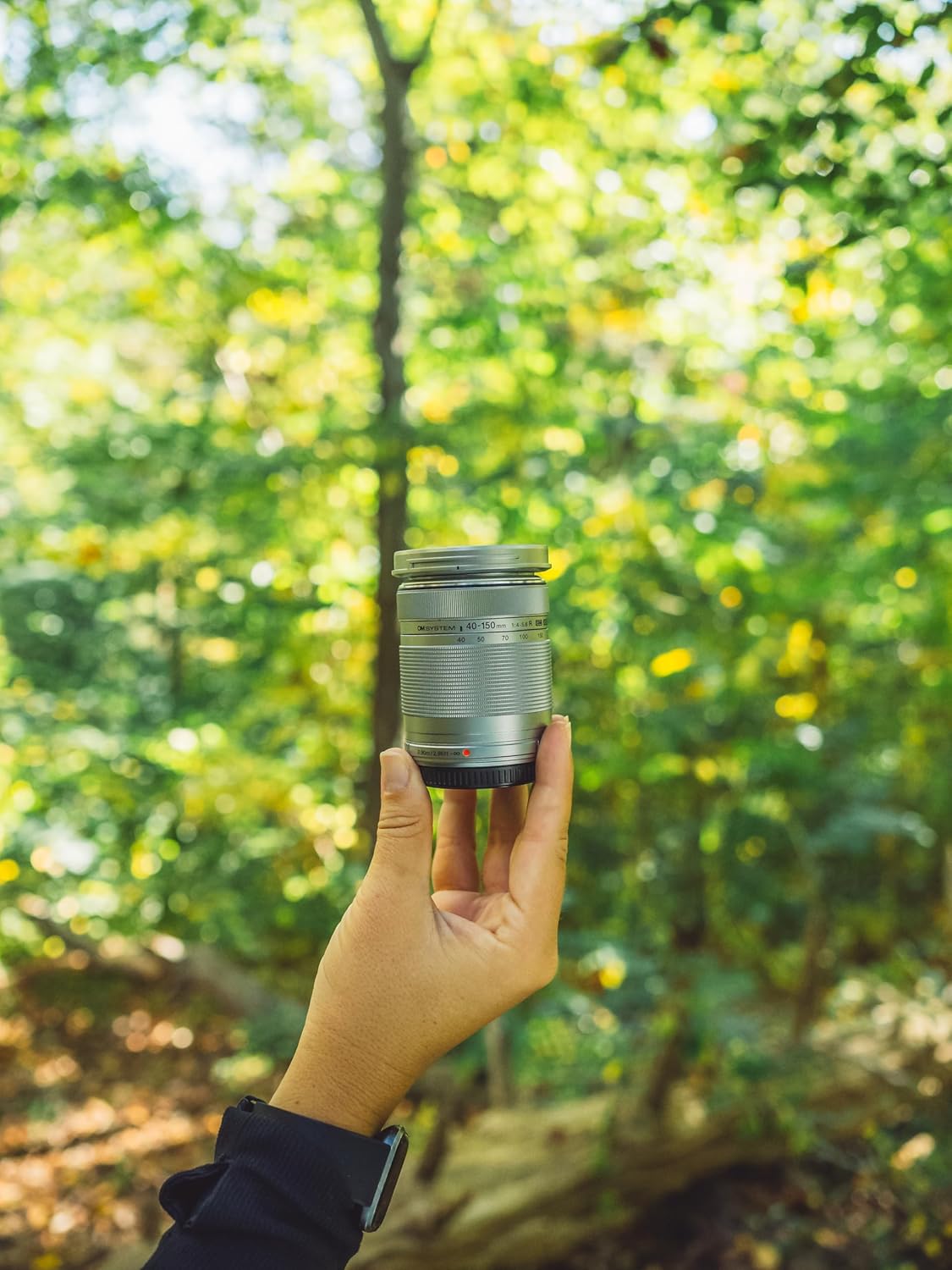 OM SYSTEM M.Zuiko Digital ED 40-150mm f/4-5.6 R Lens for Micro Four Thirds, Silver - Image 3