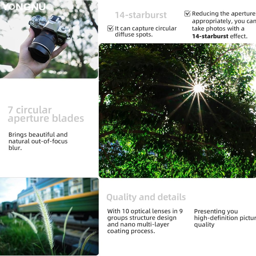 YONGNUO YN17MM F1.7M Lens for M43 Mount, 17mm F1.7 Standard Prime Auto Focus, MFT Micro Four Thirds for Mirrorless Cameras - Image 7